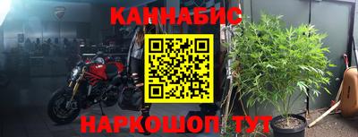 ПСИЛОЦИБИНОВЫЕ ГРИБЫ Ирбит