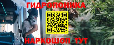 MESCALINE Камышлов