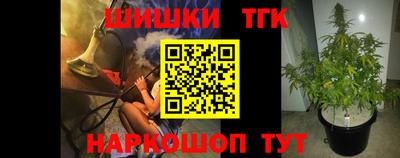 ECSTASY Канаш
