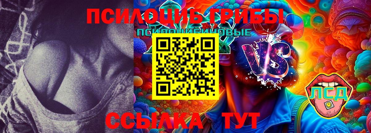 Майский  Галлюциногенные грибы мицелий  Вход с VPN 