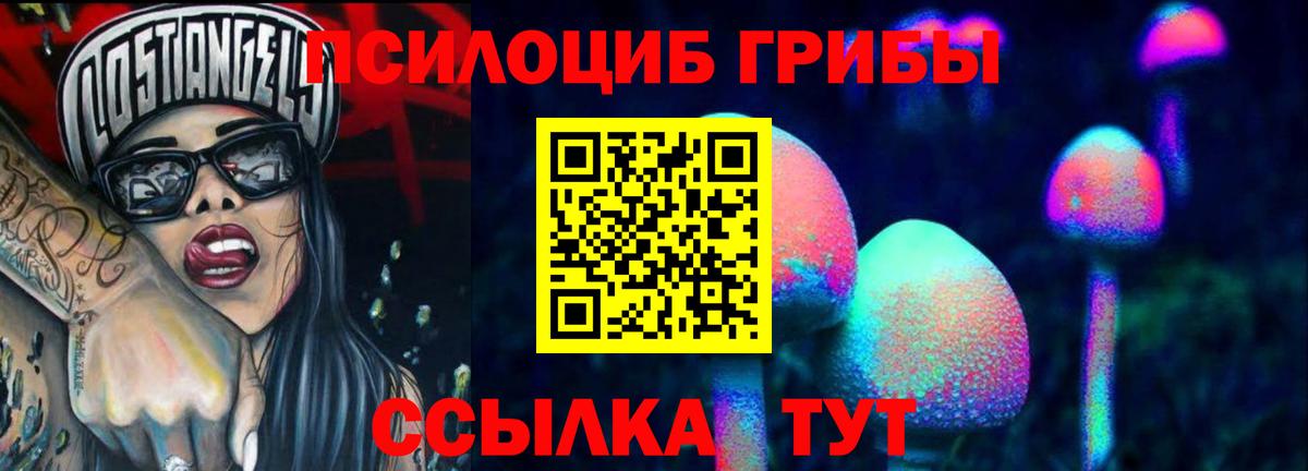 Псилоцибиновые грибы Psilocybine cubensis Майский